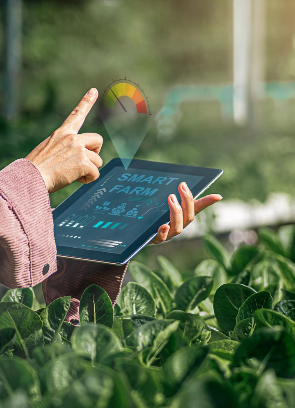High-tech Agrotech